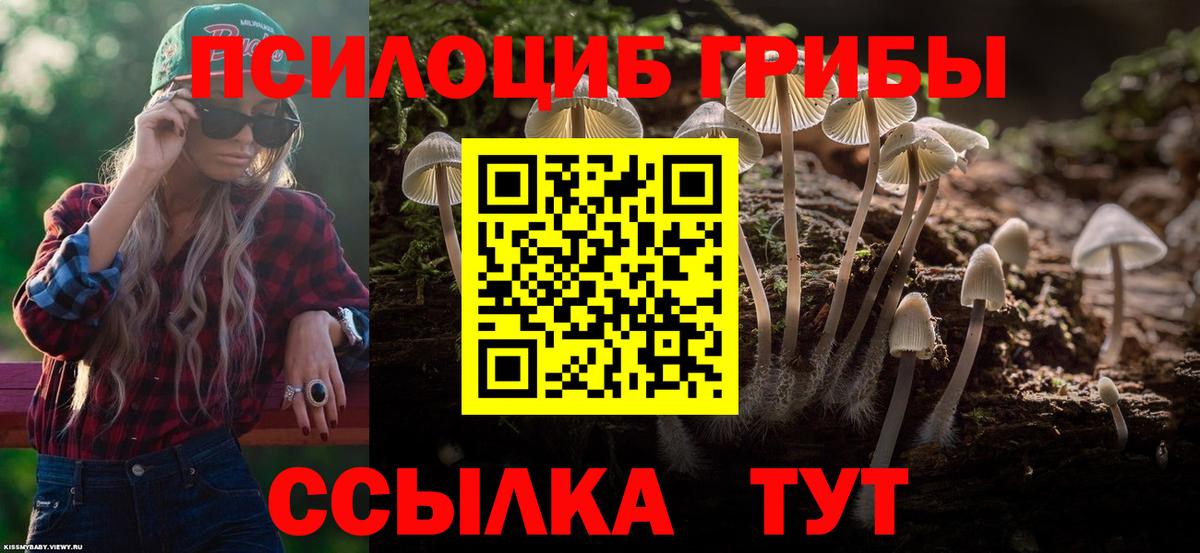 Каменск-Уральский  Галлюциногенные грибы Magic Shrooms  продажа наркотиков  Вход с VPN 