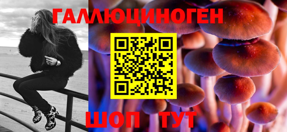 Псилоцибиновые грибы прущие грибы Каменск-Уральский